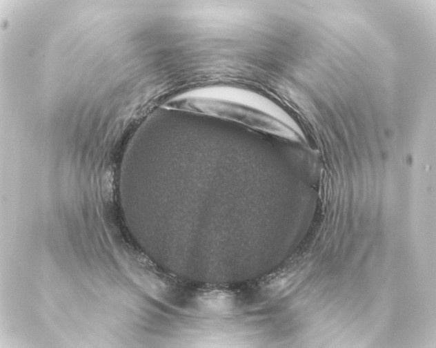 X0000088880551200706221817