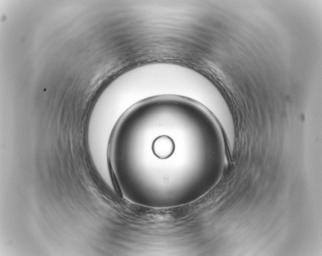 X0000088880552200706221817