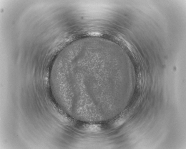 X0000088880553200706221817