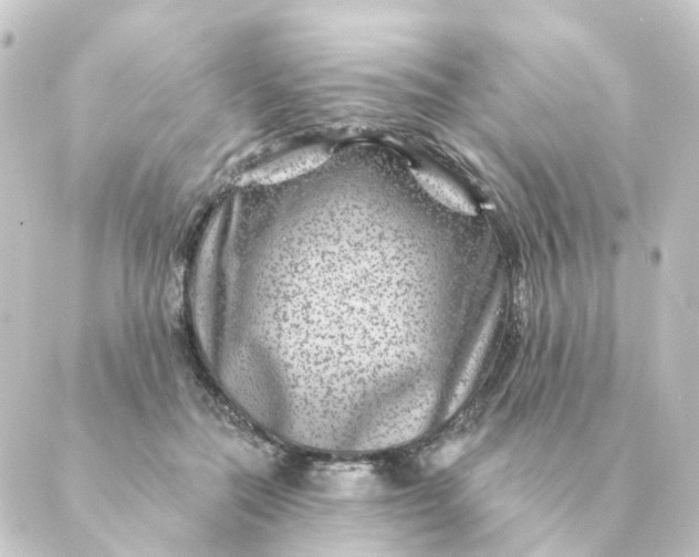 X0000088880554200706221817