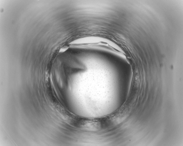 X0000088880555200706221817