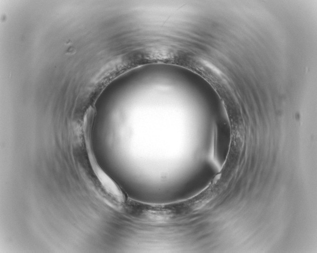 X0000088880556200706221817