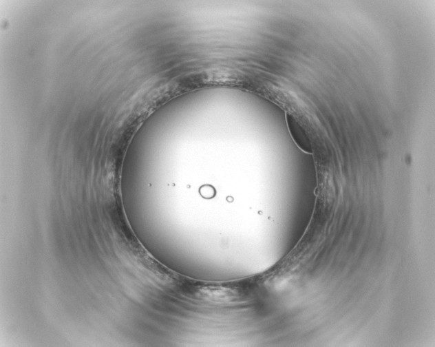 X0000088880557200706221817