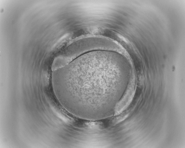 X0000088880558200706221817