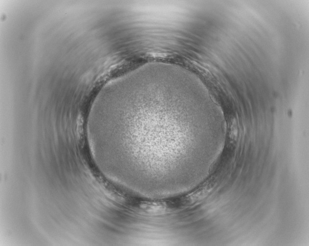 X0000088880559200706221817