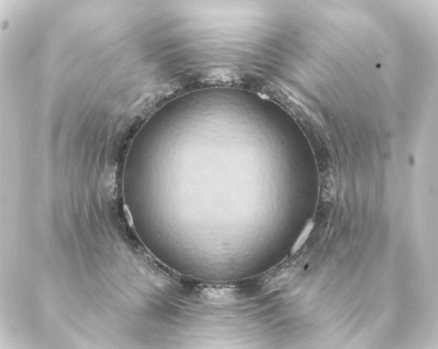 X0000088880560200706221817