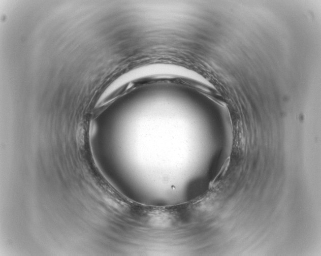 X0000088880562200706221817