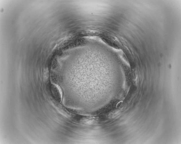 X0000088880563200706221817