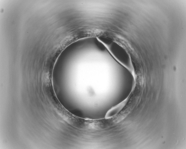 X0000088880564200706221817