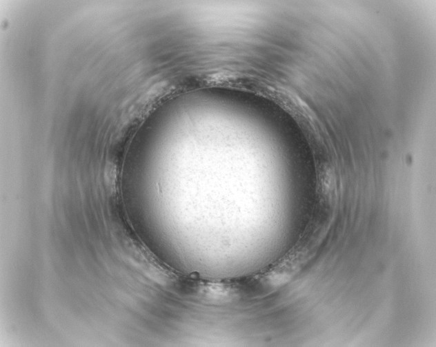 X0000088880565200706221817