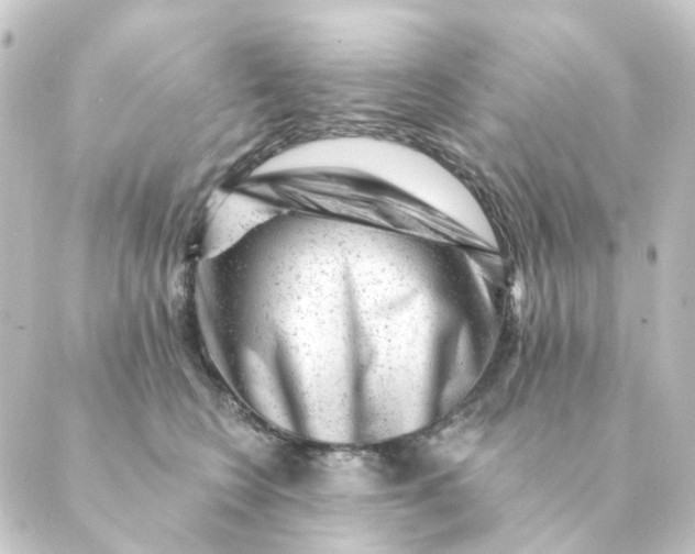 X0000088880566200706221817