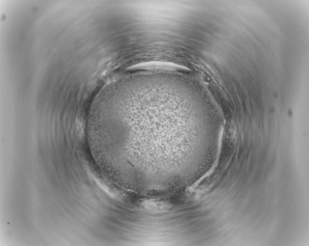 X0000088880568200706221817