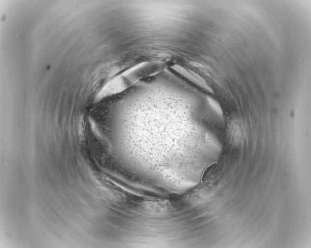 X0000088880571200706221817