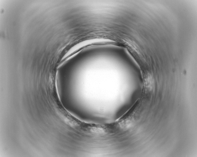 X0000088880572200706221817