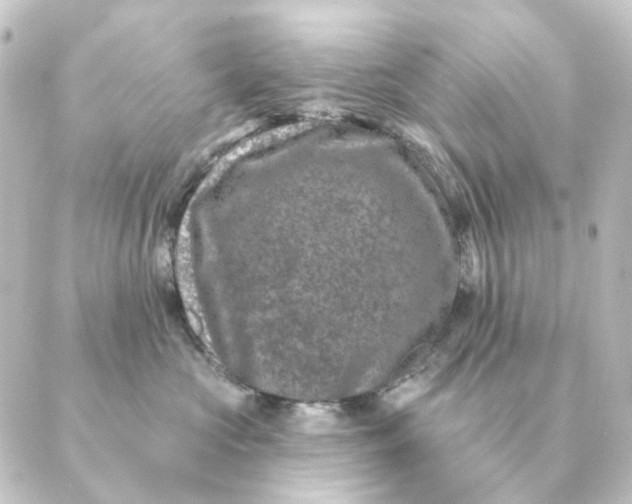 X0000088880573200706221817