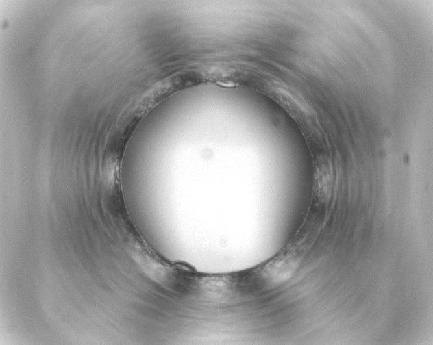 X0000088880574200706221817