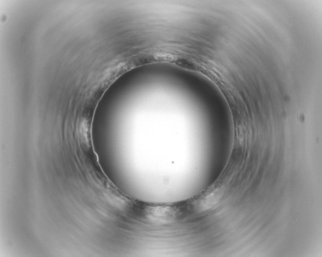 X0000088880575200706221817