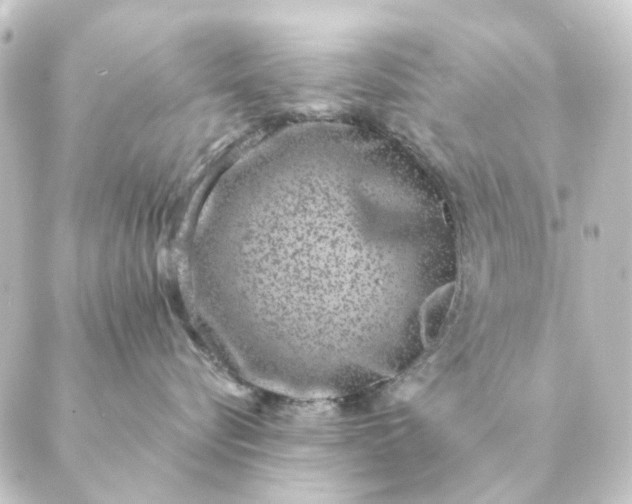 X0000088880576200706221817