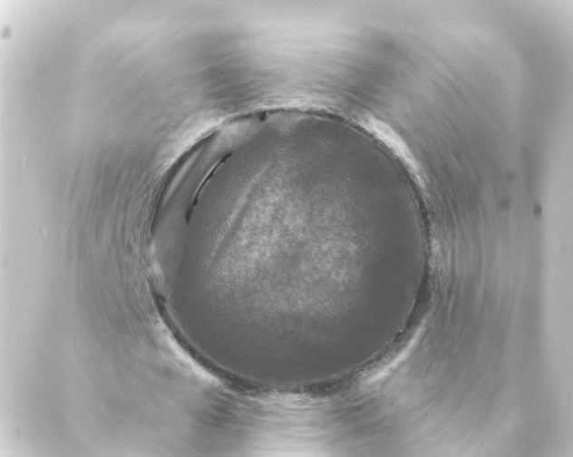 X0000088880577200706221817