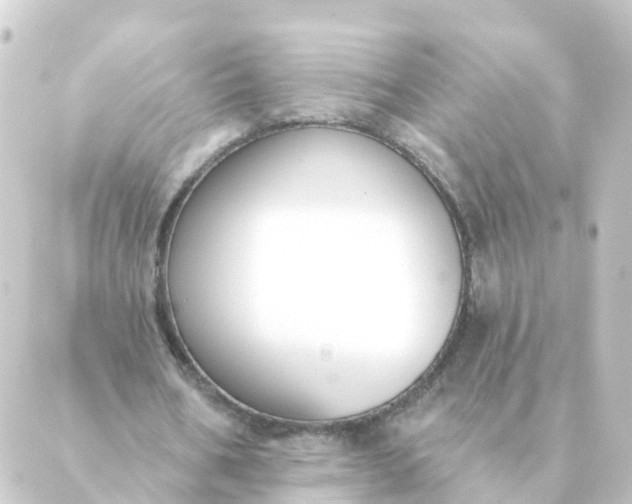 X0000088880578200706221817