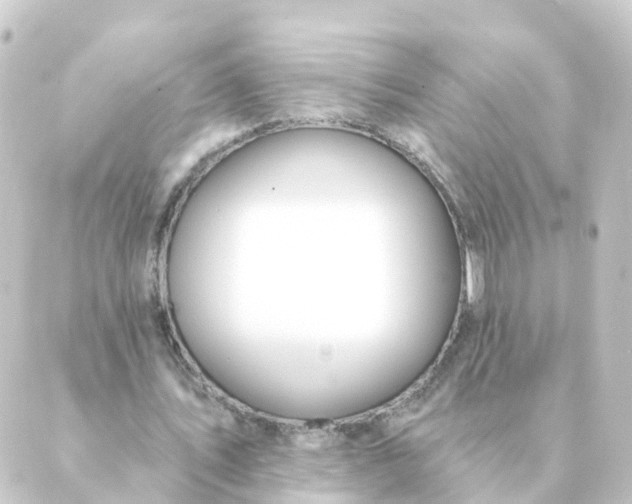 X0000088880579200706221817