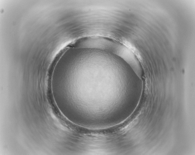 X0000088880580200706221817