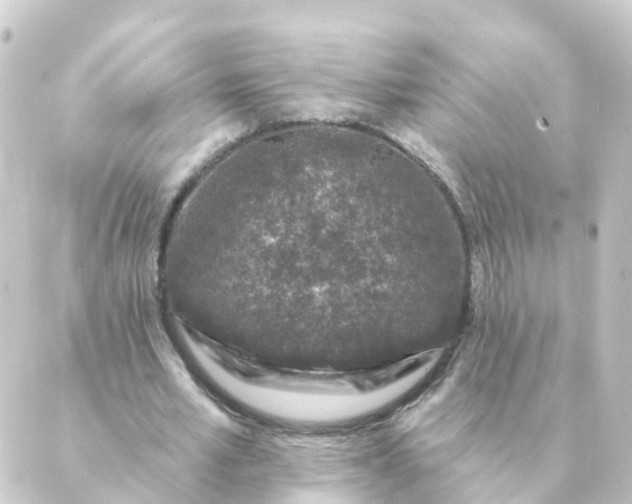 X0000088880581200706221817