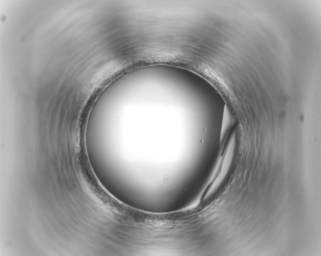 X0000088880582200706221817