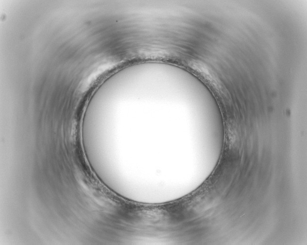 X0000088880583200706221817