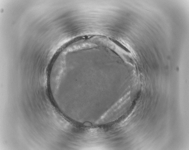 X0000088880584200706221817