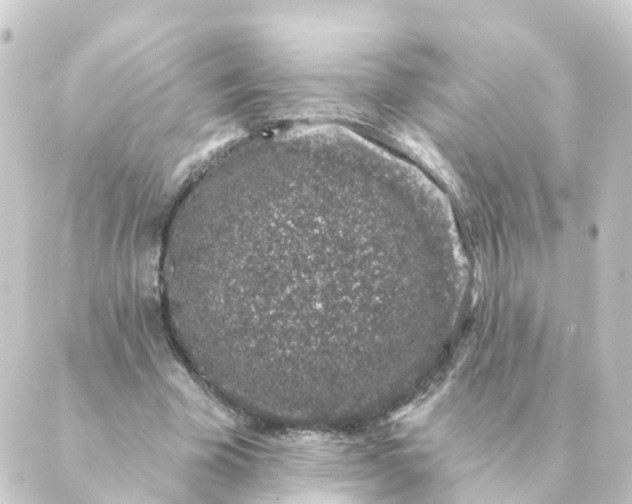 X0000088880585200706221817