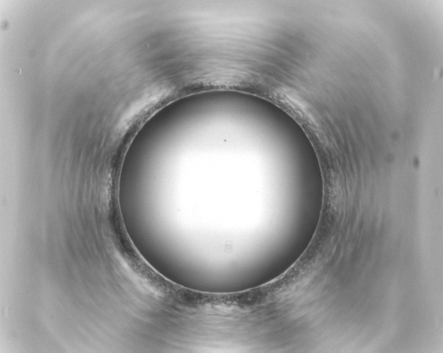 X0000088880586200706221817