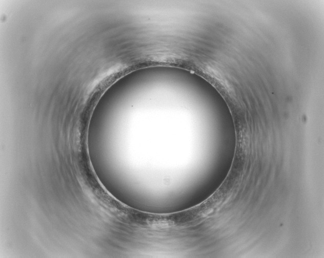 X0000088880587200706221816