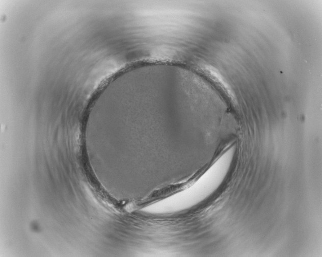 X0000088880588200706221816