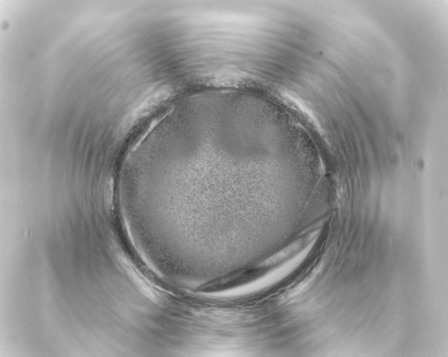 X0000088880589200706221816