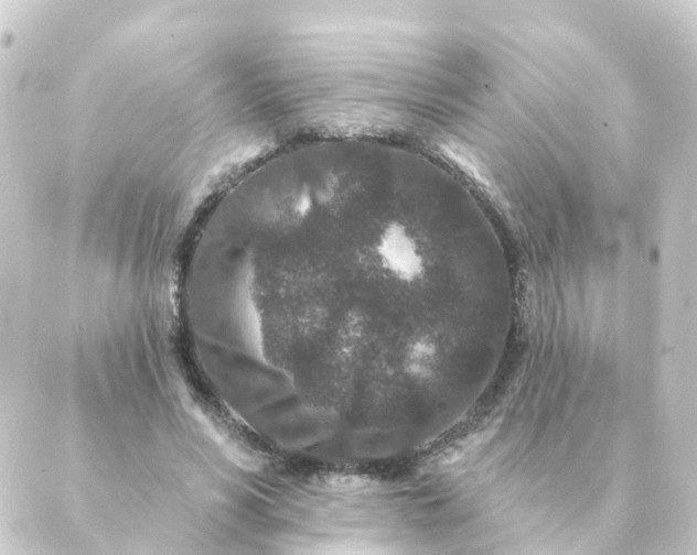 X0000088880590200706221816