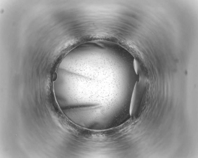 X0000088880591200706221816