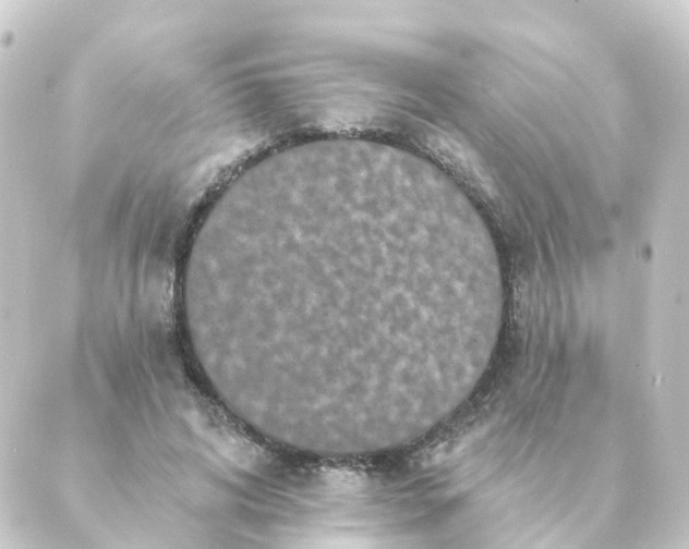 X0000088880592200706221816