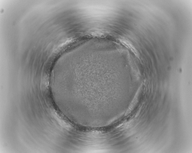 X0000088880593200706221816