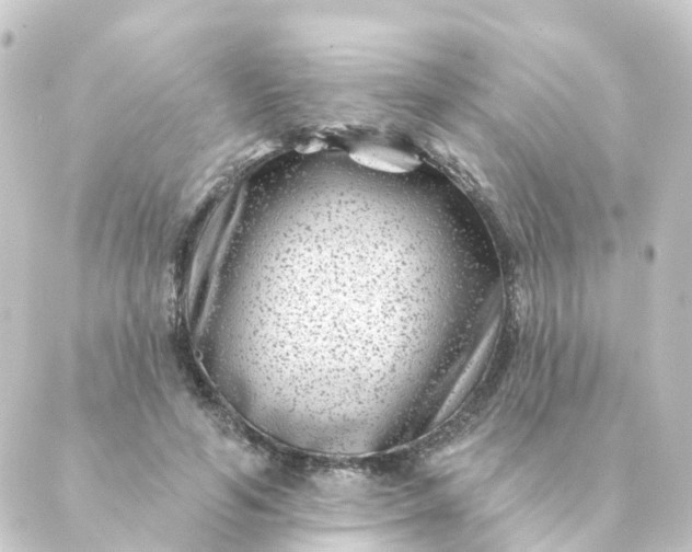 X0000088880594200706221816