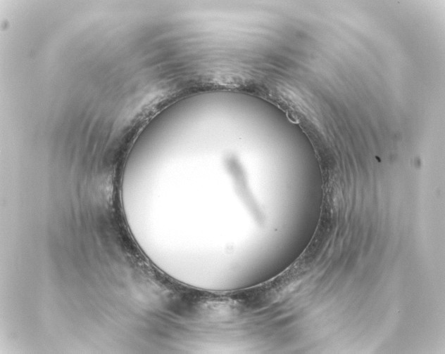 X0000088880595200706221816