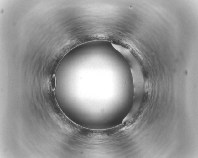 X0000088880597200706221816