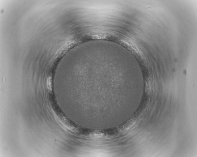 X0000088880598200706221816