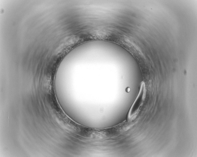 X0000088880599200706221816