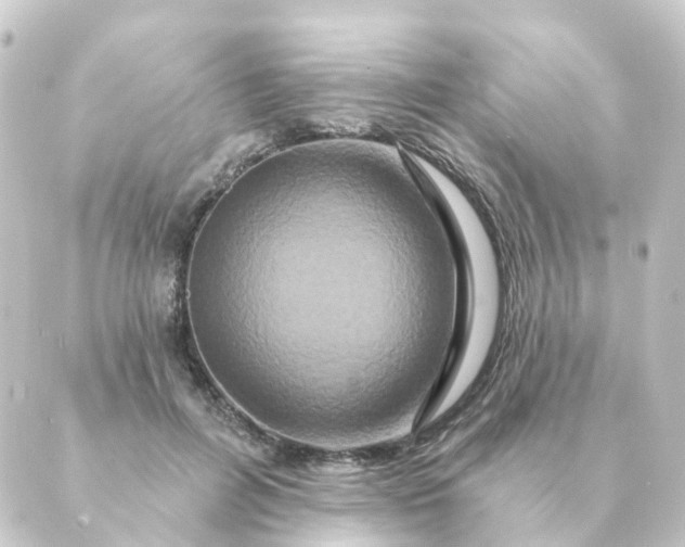 X0000088880600200706221816