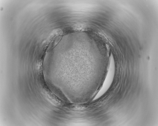 X0000088880601200706221816