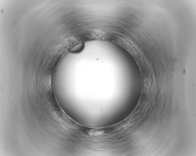 X0000088880602200706221816