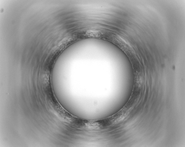 X0000088880603200706221816