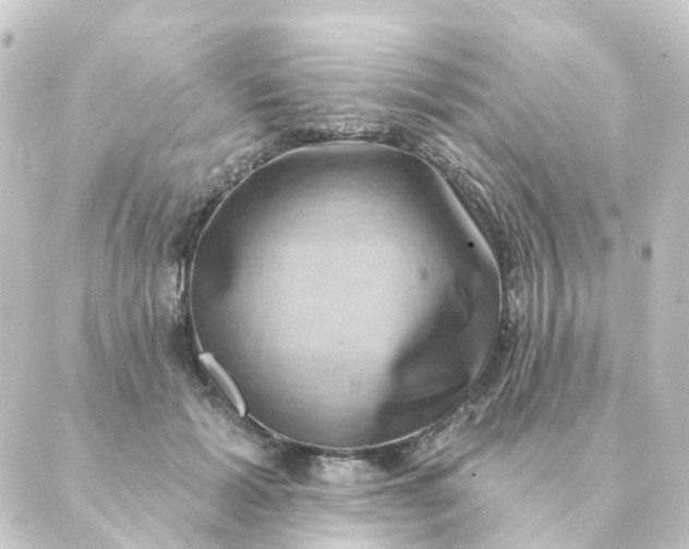 X0000088880605200706221816