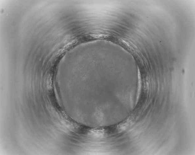 X0000088880606200706221816